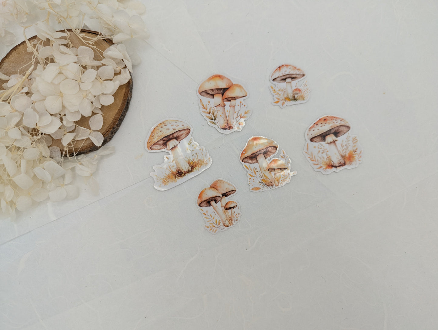Pilz Sticker transparent, Wad Sticker Journal, Botanik Sticker Pilze, Pilzmotive, Fliegenpilz Sticker, Sticker für Kalender und Planer