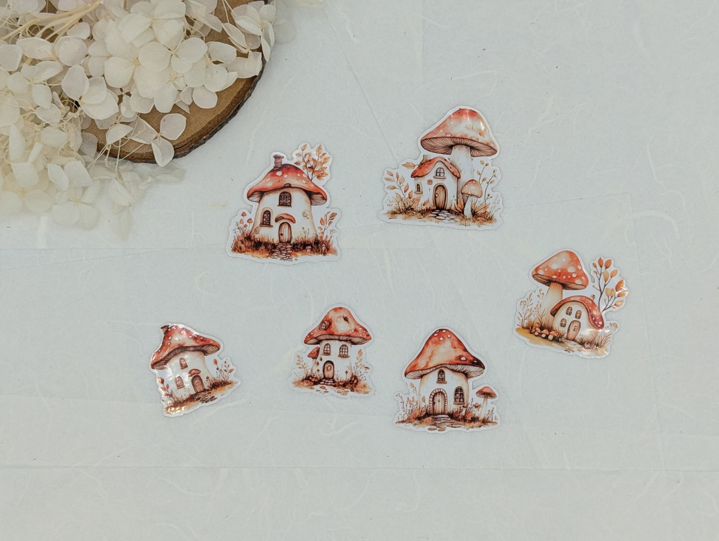Pilz Sticker transparent, Wad Sticker Journal, Botanik Sticker Pilze, Pilzmotive, Fliegenpilz Sticker, Sticker für Kalender und Planer