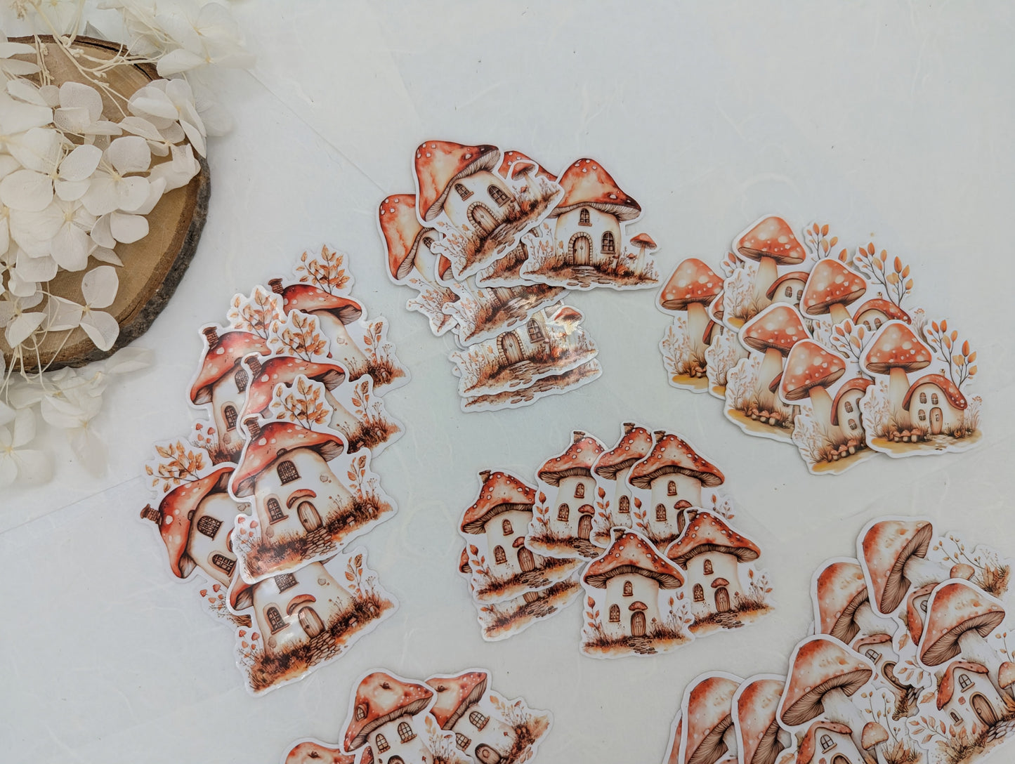 Pilz Sticker transparent, Wad Sticker Journal, Botanik Sticker Pilze, Pilzmotive, Fliegenpilz Sticker, Sticker für Kalender und Planer