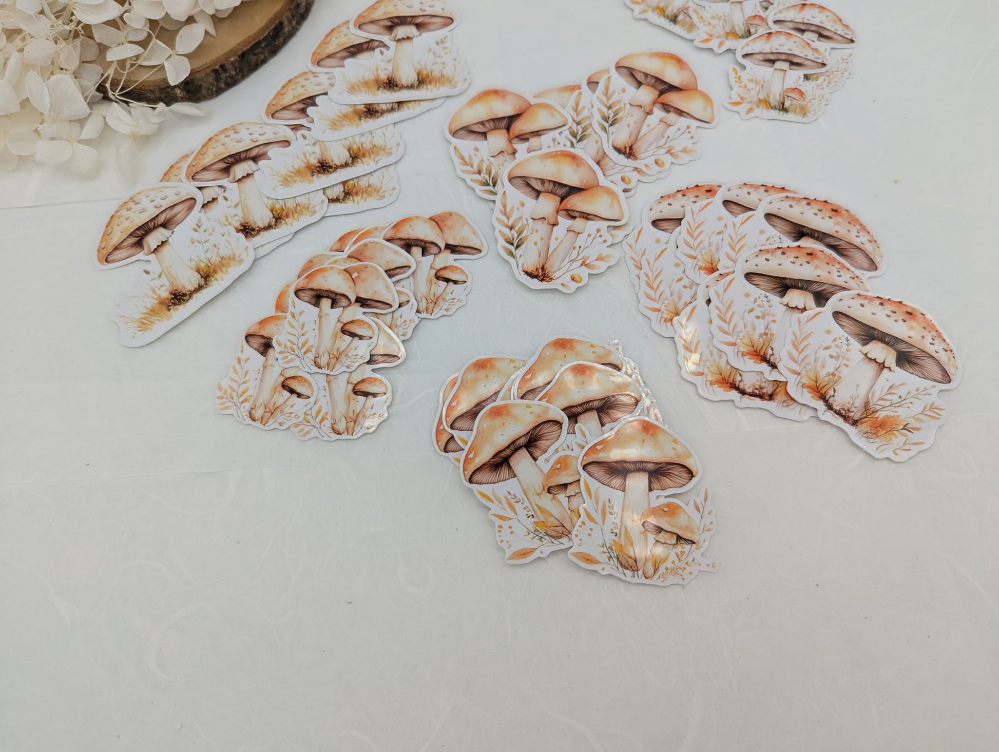 Pilz Sticker transparent, Wad Sticker Journal, Botanik Sticker Pilze, Pilzmotive, Fliegenpilz Sticker, Sticker für Kalender und Planer