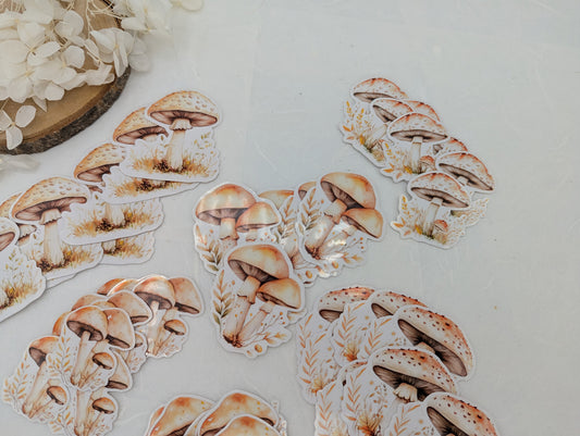 Pilz Sticker transparent, Wad Sticker Journal, Botanik Sticker Pilze, Pilzmotive, Fliegenpilz Sticker, Sticker für Kalender und Planer