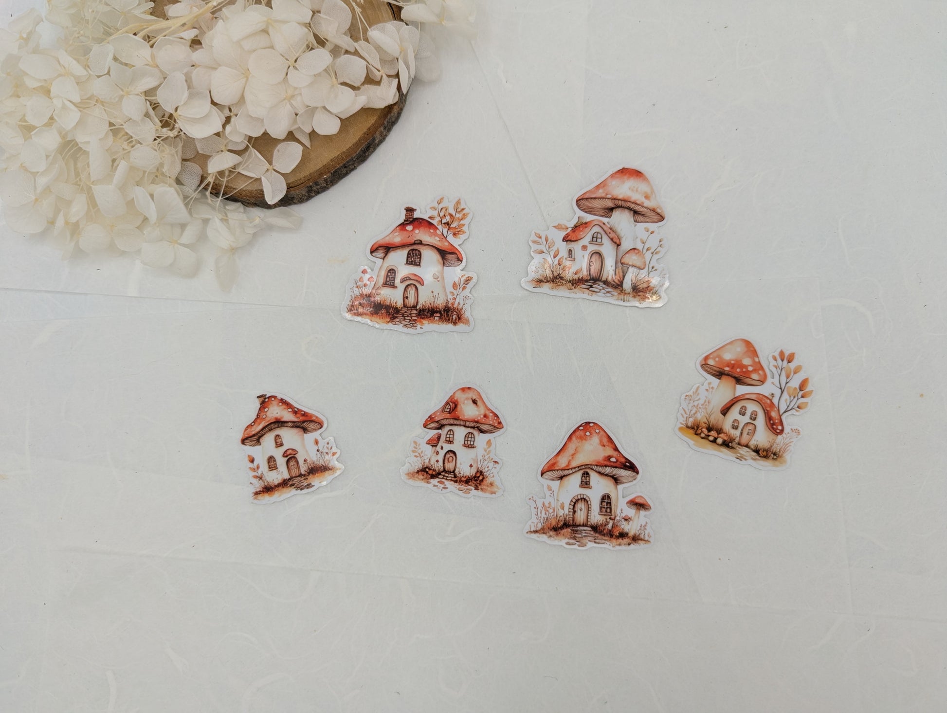 Pilz Sticker transparent, Wad Sticker Journal, Botanik Sticker Pilze, Pilzmotive, Fliegenpilz Sticker, Sticker für Kalender und Planer
