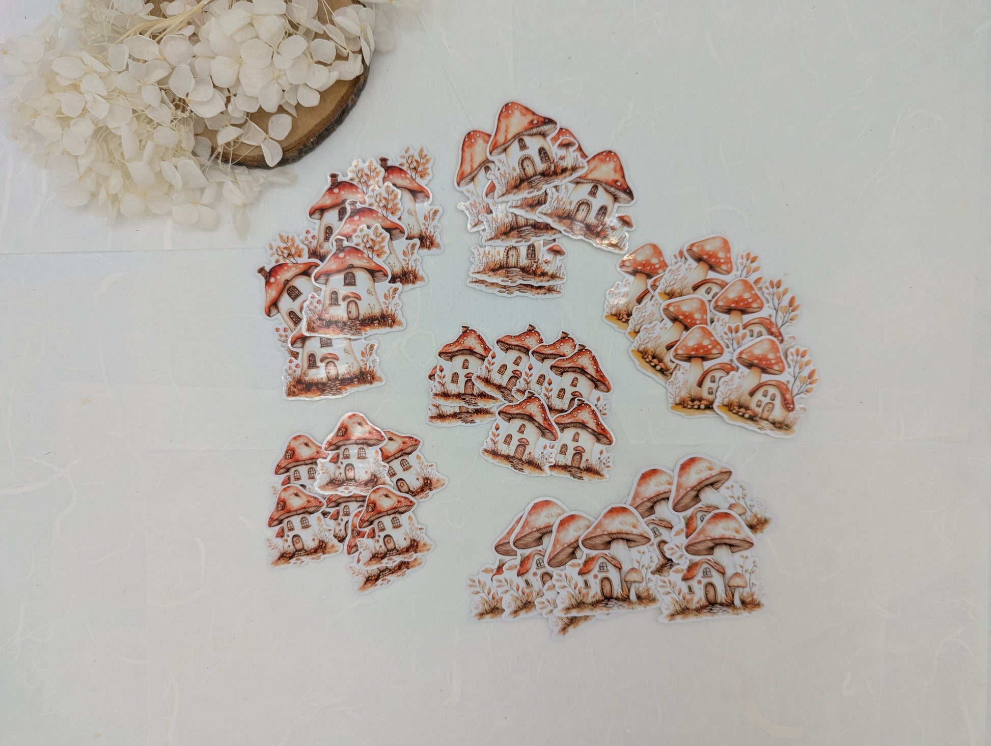 Pilz Sticker transparent, Wad Sticker Journal, Botanik Sticker Pilze, Pilzmotive, Fliegenpilz Sticker, Sticker für Kalender und Planer
