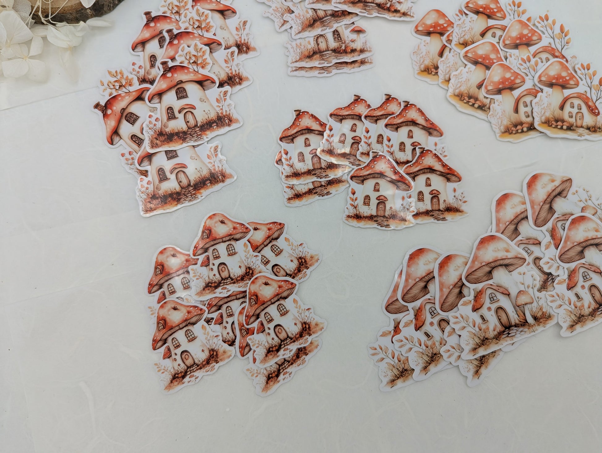 Pilz Sticker transparent, Wad Sticker Journal, Botanik Sticker Pilze, Pilzmotive, Fliegenpilz Sticker, Sticker für Kalender und Planer