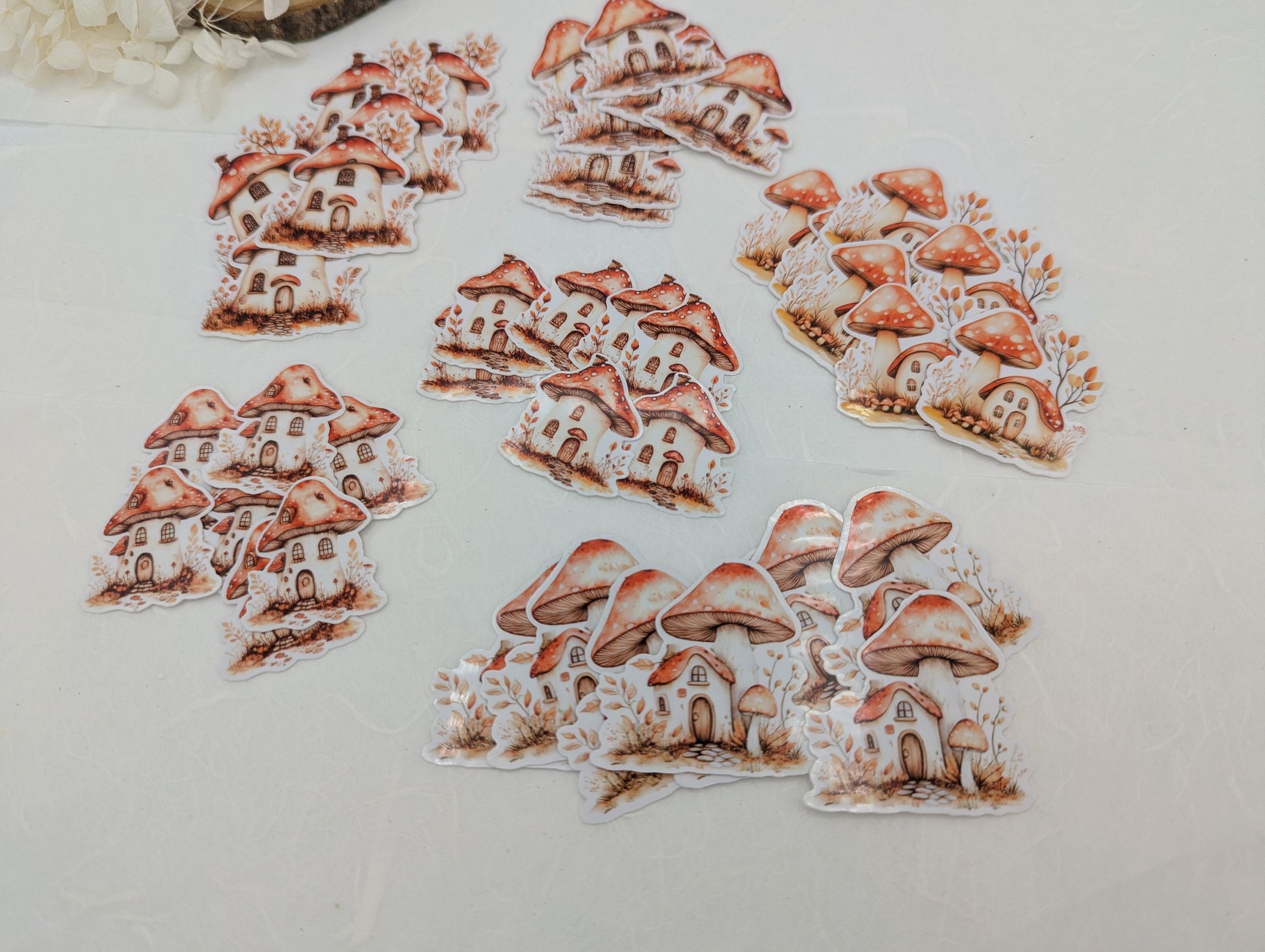Pilz Sticker transparent, Wad Sticker Journal, Botanik Sticker Pilze, Pilzmotive, Fliegenpilz Sticker, Sticker für Kalender und Planer