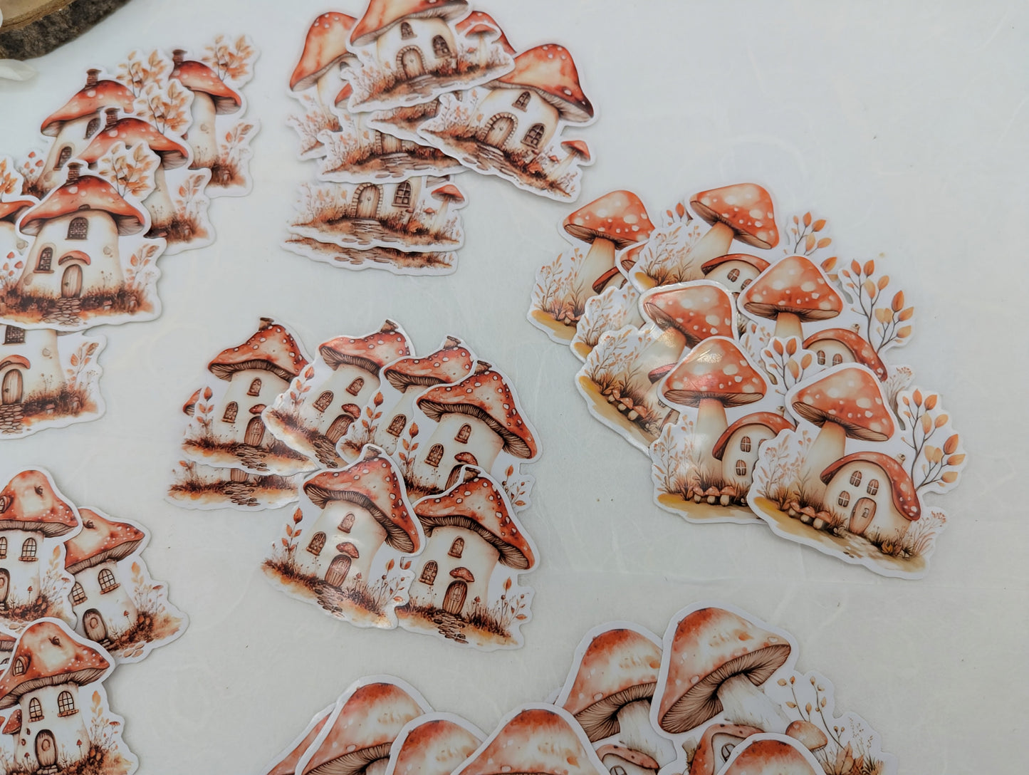 Pilz Sticker transparent, Wad Sticker Journal, Botanik Sticker Pilze, Pilzmotive, Fliegenpilz Sticker, Sticker für Kalender und Planer